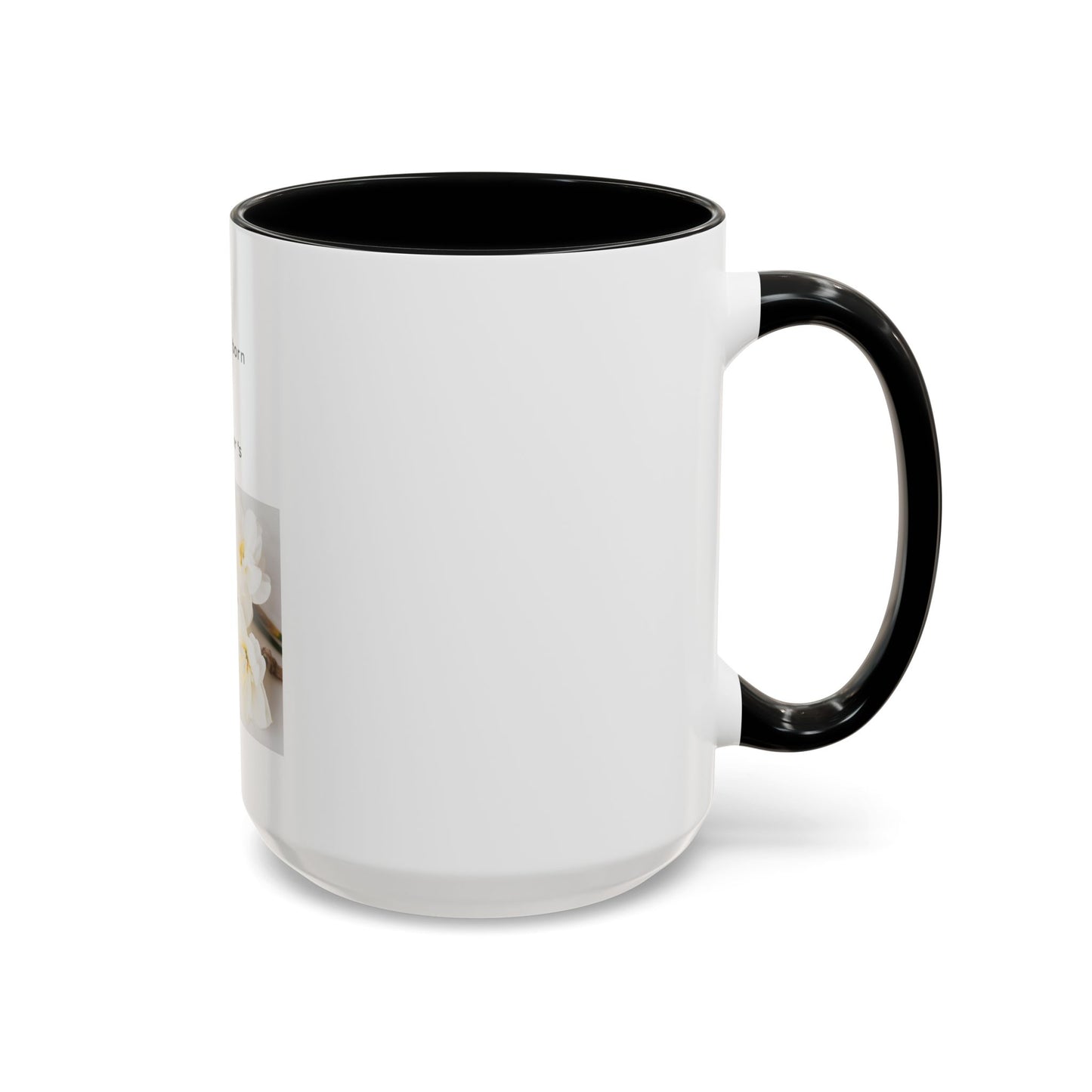 Mother's Day December Birth Coffee Mug — "Best Mom are born in December" Accent Mug (11/15 oz)